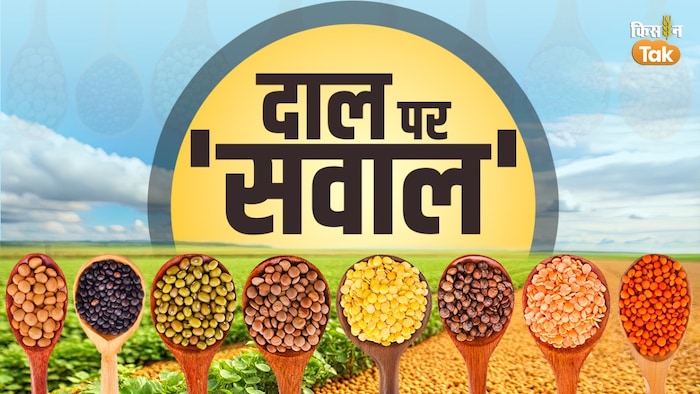 भारत में क्यों बढ़ा दालों का आयात?