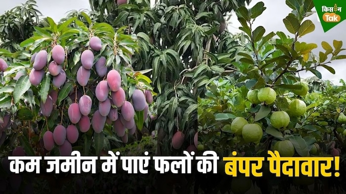 horticulture farming