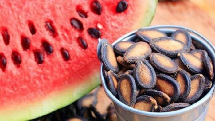 watermelon seeds import