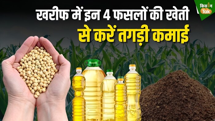 खरीफ में उगाई जाने वाली फायदेमंद फसलें