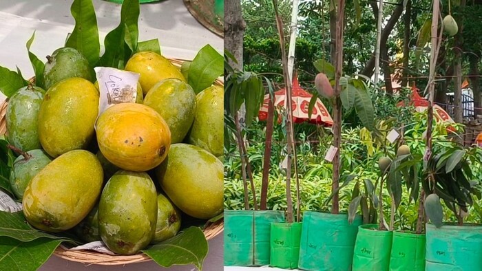 Muzaffarpur AAm Mahotsav