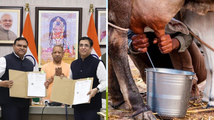 मुख्यमंत्री योगी आदित्यनाथ ने डेयरी सेक्टर में की क्रांतिकारी पहल