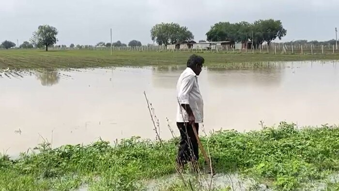 Amravati soybean Seed fraud