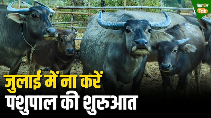 पशुपालन की शुरुआत का सही समय