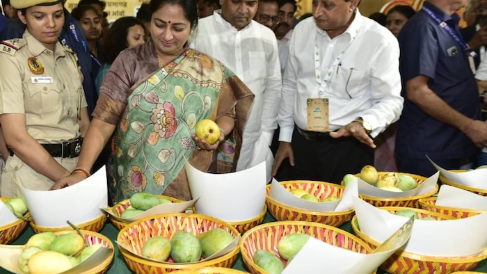 mango Festival Delhi