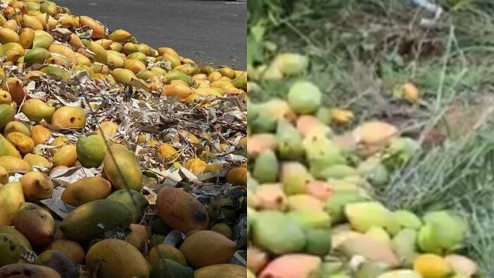 Andhra Pradesh Mango