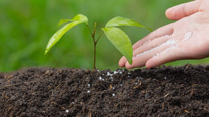 Fertilizers Ban China