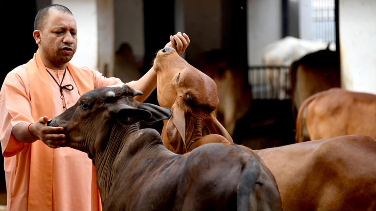 योगी सरकार बनाने जा रही 75 आत्मनिर्भर गोशालाएं