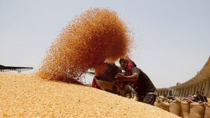 Reserve price of grains increased