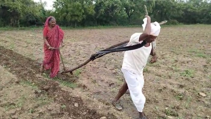 Maharashtra Farmer