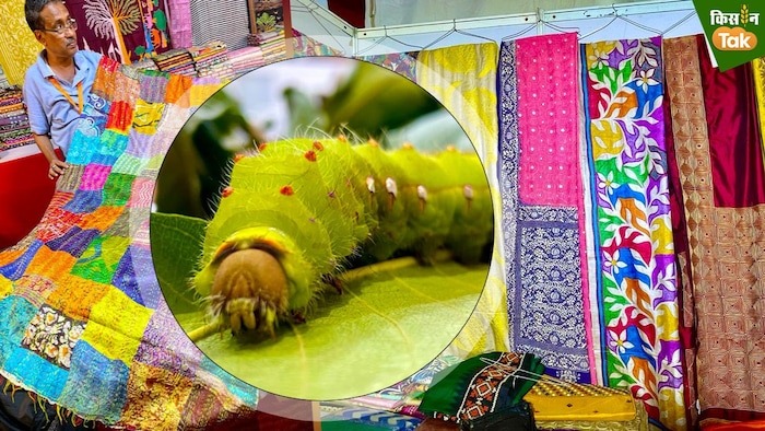 यूपी में रेशम उत्पादन से किसानों की बढ़ रही आय