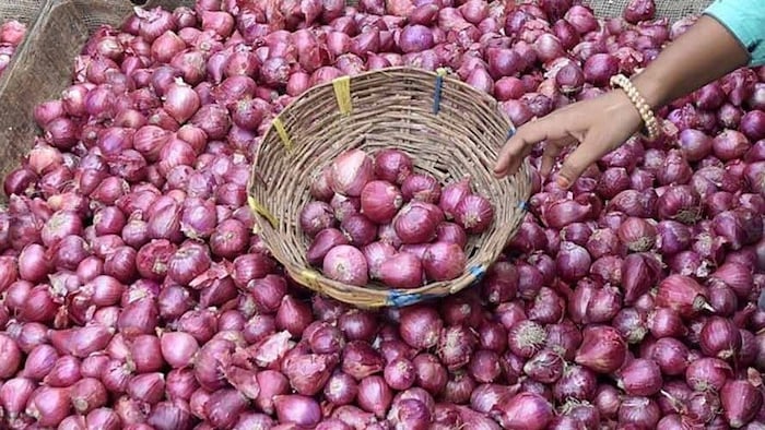 onion price