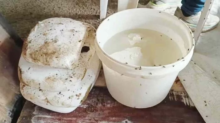 Raid on fake paneer making factory
