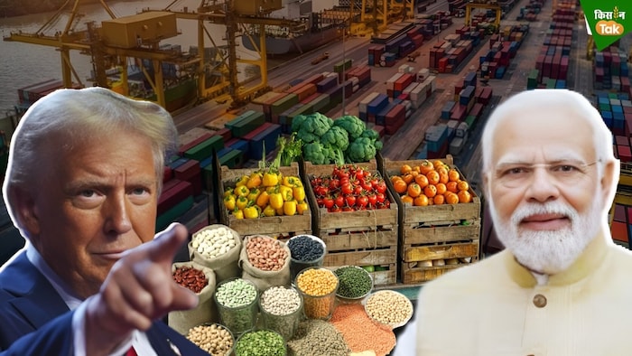 India agri imports from USA