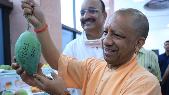...जब ‘योगी आम’ देख मुस्कुरा उठे सीएम