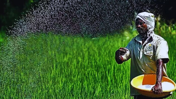 Micro fertilizer company demand