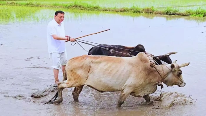 CM पुष्कर सिंह धामी