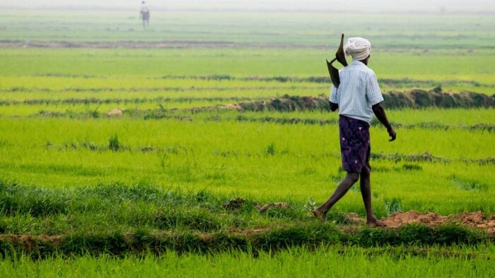 farmer suicide Mahrashtra