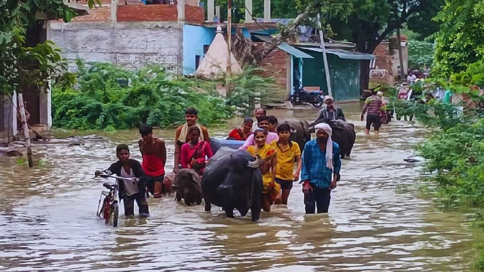 क्या पहाड़ और क्या मैदान...राजस्थान से लेकर उत्तराखंड तक बारिश का प्रकोप जारी   क्या पहाड़ और क्या मैदान...राजस्थान से लेकर उत्तराखंड तक बारिश का प्रकोप जारी