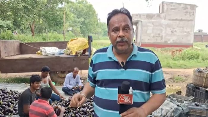 बैंगन की खेती से कमा रहे अच्छा मुनाफा