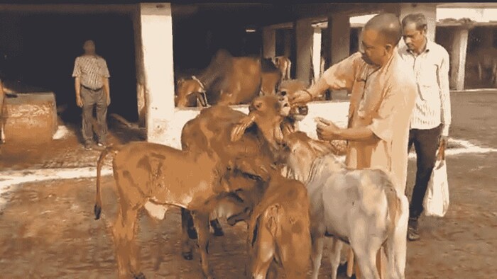 गोपाल वन बनाएगी योगी सरकार