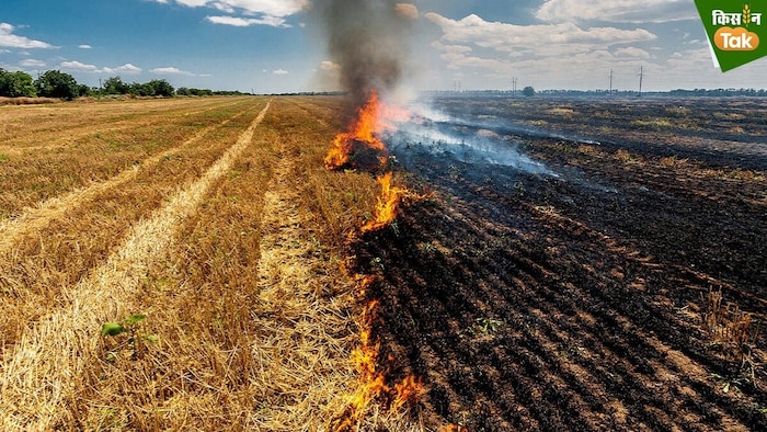 Stubble burning