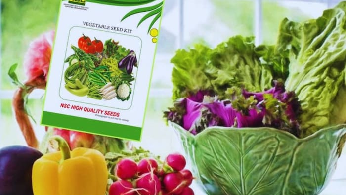 हरी पत्तेदार सब्जियां