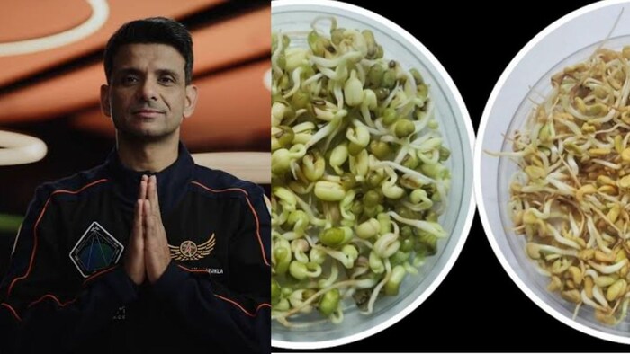 Shubhansu Seeds irrigation