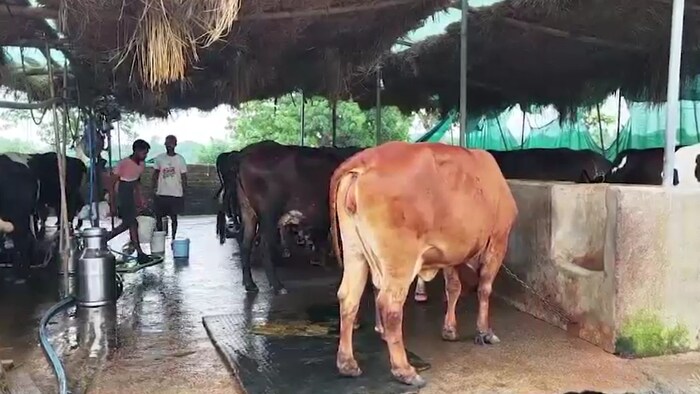 bokaro jaradih village