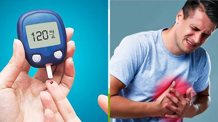 पंचगव्य उत्पादों के लिए आयोग ने की योजना तैयार