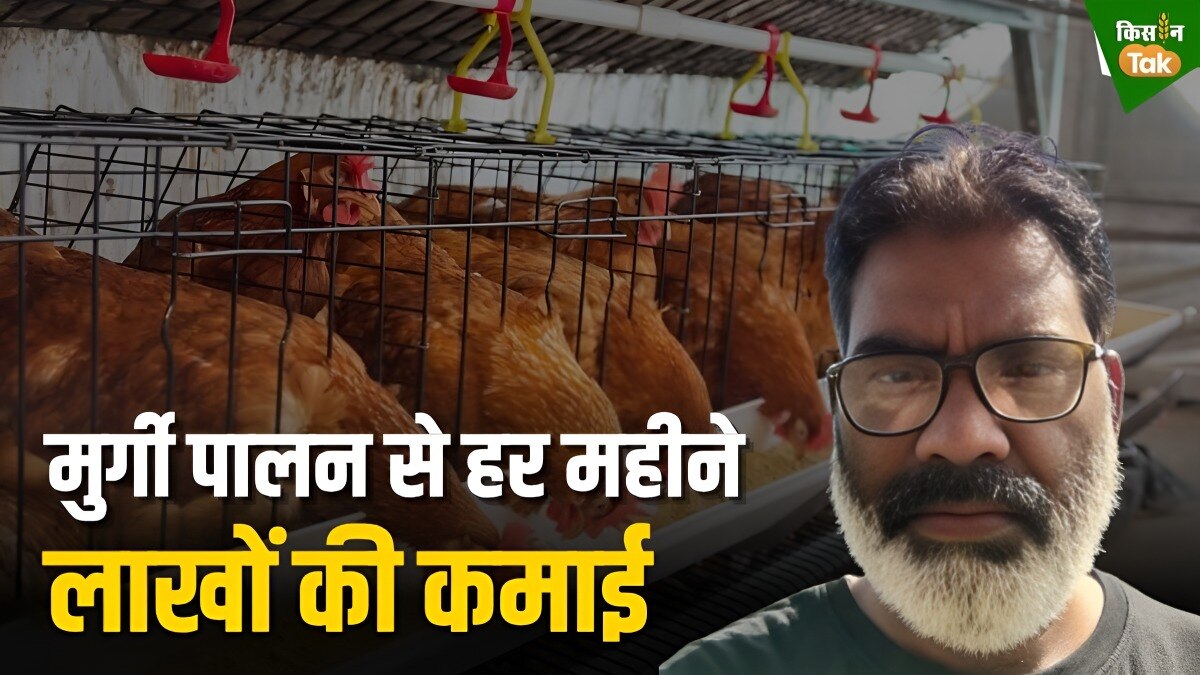 कौशांबी जिले के अलीपुर जीता गांव के किसान सलीम सिद्दीकी