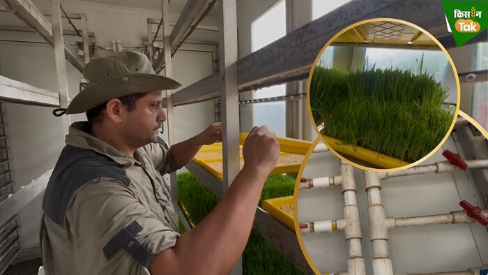 हाइड्रोपोनिक तरीके की खेती