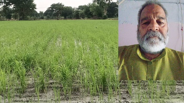 farmer success story