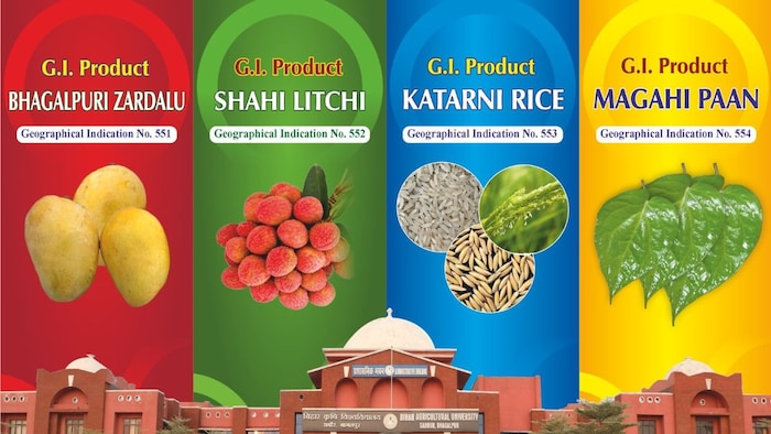 बिहार के GI सितारों को मिला `ई-नाम`