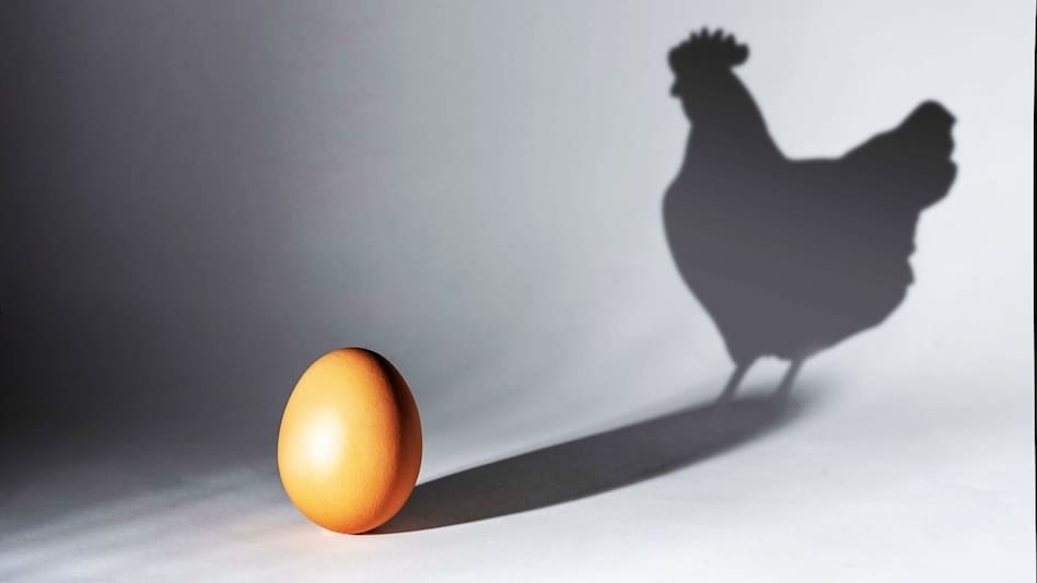 Poultry Light Management: पोल्ट्री फार्म में लाइट मैनेजमेंट से भी बढ़ता है प्रोडक्शन, जरूर करें ये काम  Poultry Light Management: पोल्ट्री फार्म में लाइट मैनेजमेंट से भी बढ़ता है प्रोडक्शन, जरूर करें ये काम