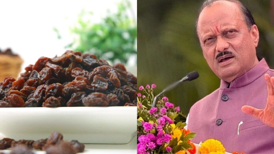 चीनी किशमिश से महाराष्ट्र के किसानों को भारी नुकसान, डिप्टी सीएम पवार की मांग- तुरंत बैन करो चीनी किशमिश से महाराष्ट्र के किसानों को भारी नुकसान, डिप्टी सीएम पवार की मांग- तुरंत बैन करो