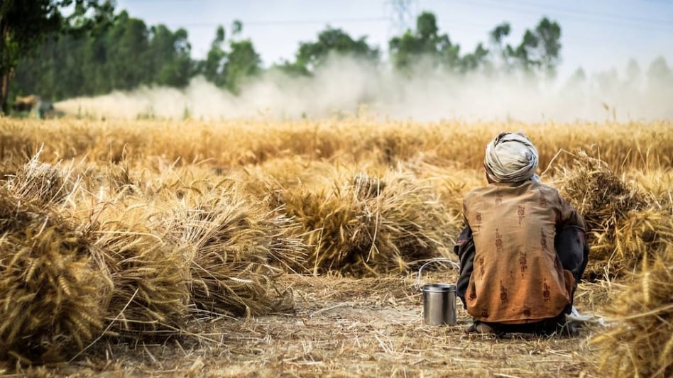 हरियाणा के बागवानी किसानों के लिए गुडन्यूज! सरकार ने बढ़ाई बीमा योजना की आखिरी तारीख  हरियाणा के बागवानी किसानों के लिए गुडन्यूज! सरकार ने बढ़ाई बीमा योजना की आखिरी तारीख