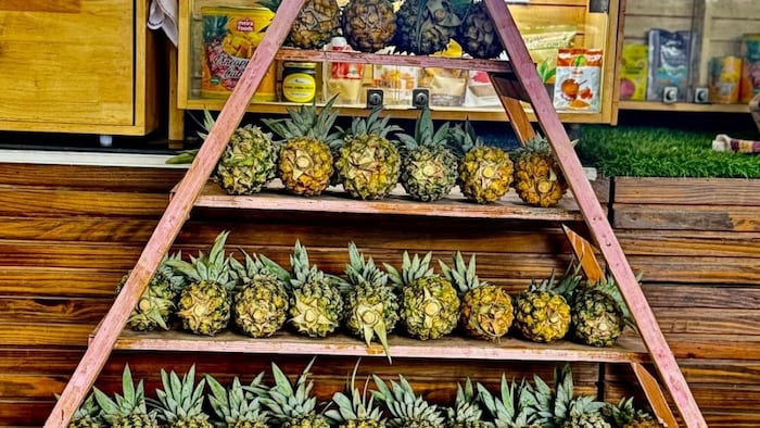Delhi Hat Meghalaya Pineapple Sale