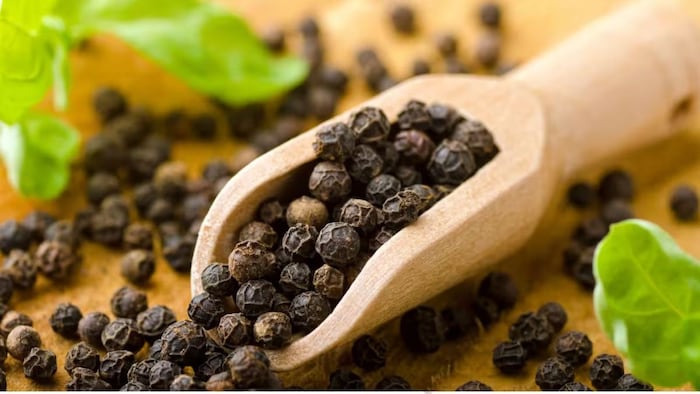 काली मिर्च से होगी बंपर कमाई