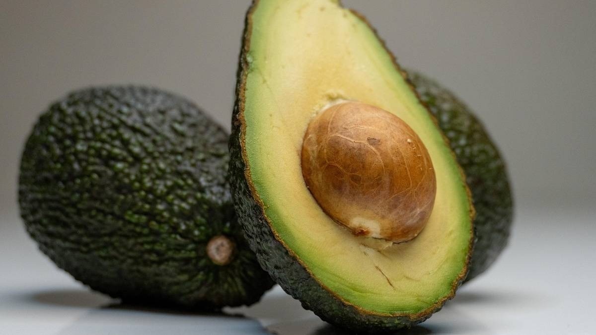 avocado farming India