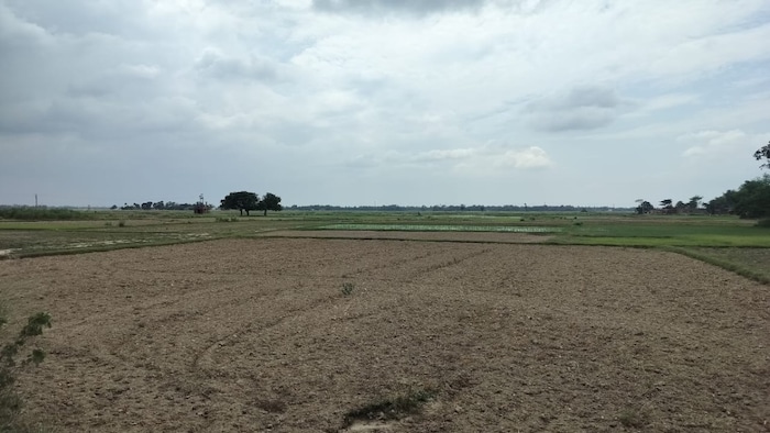 Bihar Kharif Farming