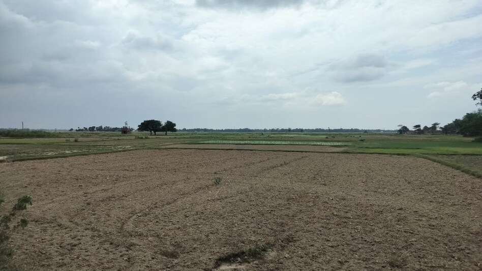 बिहार में 'खरीफ' को खराब कर रही बारिश की सुस्ती, सरकारी लक्ष्य से बहुत पीछे धान-मक्का की खेती बिहार में 'खरीफ' को खराब कर रही बारिश की सुस्ती, सरकारी लक्ष्य से बहुत पीछे धान-मक्का की खेती