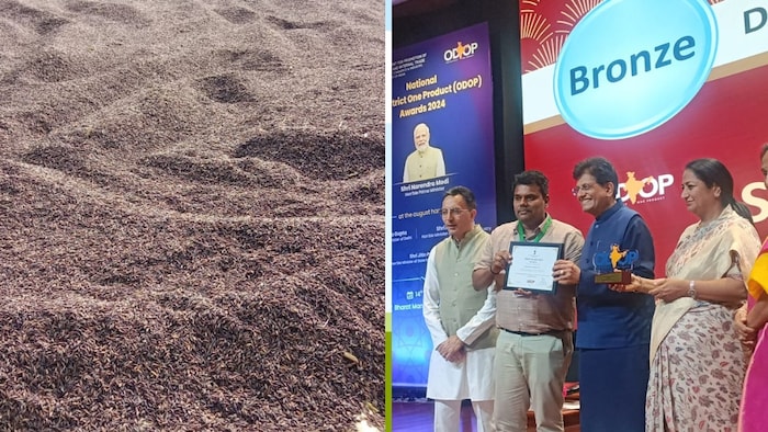 दिल्ली में राष्ट्रीय पुरस्कार से सम्मानित होते सिद्धार्थनगर जिले के डीएम डॉ. राजा गणपति आर.