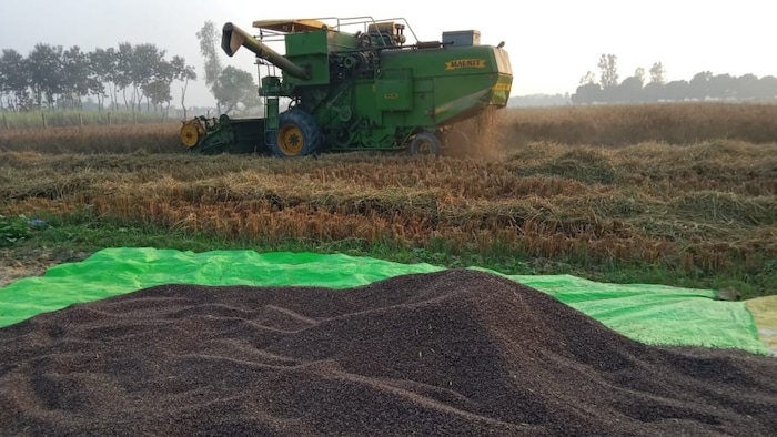 चंदौली जिला चावल की खेती के लिए मशहूर है.