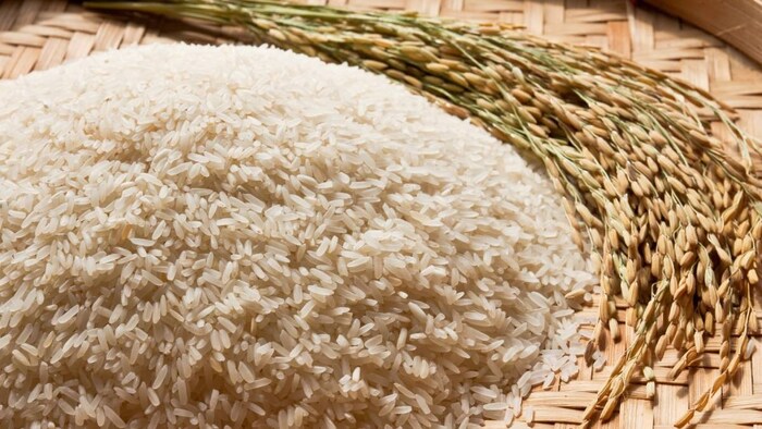 rice export india