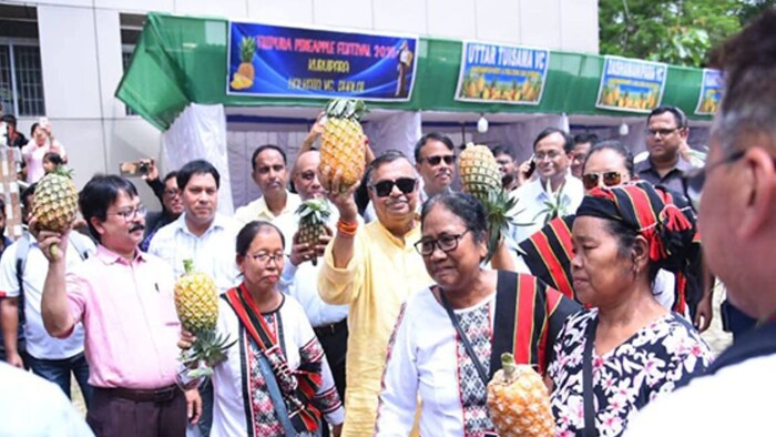 Tripura Pineapple