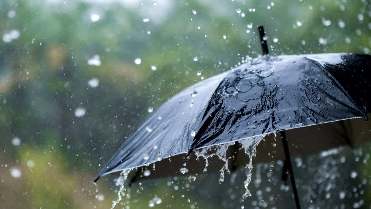 UP Weather: यूपी के कई जिलों में आज बहुत से बहुत तेज बारिश का अलर्ट, जानें मौसम का ताजा हाल UP Weather: यूपी के कई जिलों में आज बहुत से बहुत तेज बारिश का अलर्ट, जानें मौसम का ताजा हाल