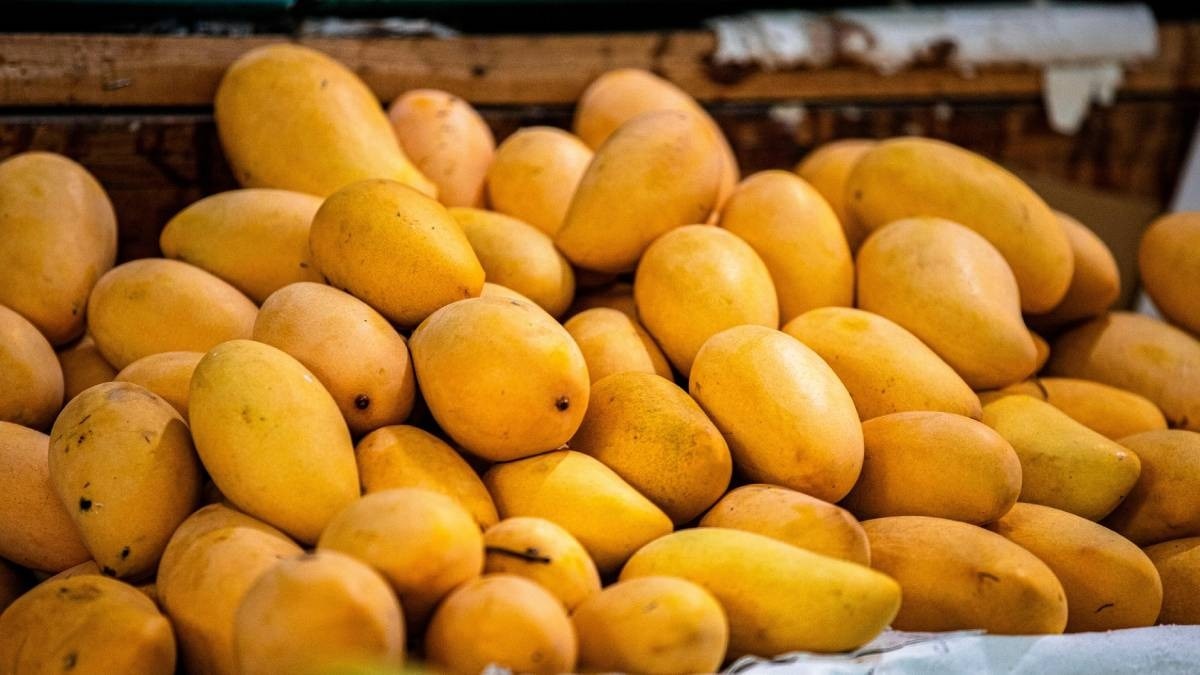 Now the shine of mango will increase further