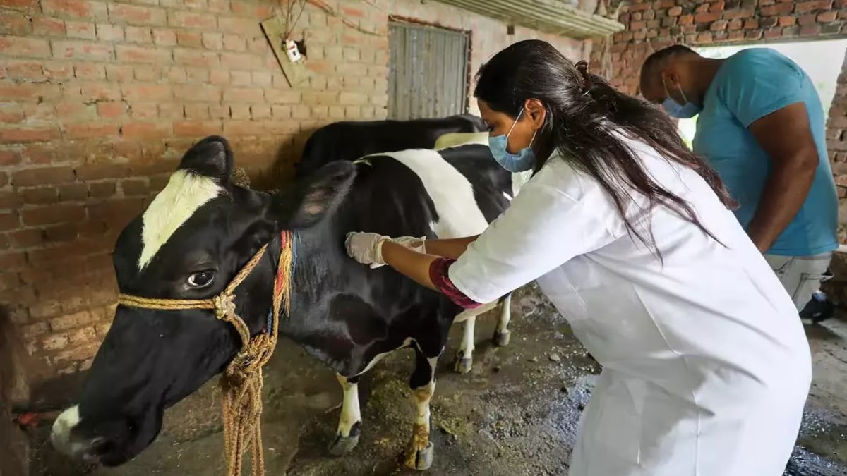 IVRI ने बनाए ये तीन टीके
