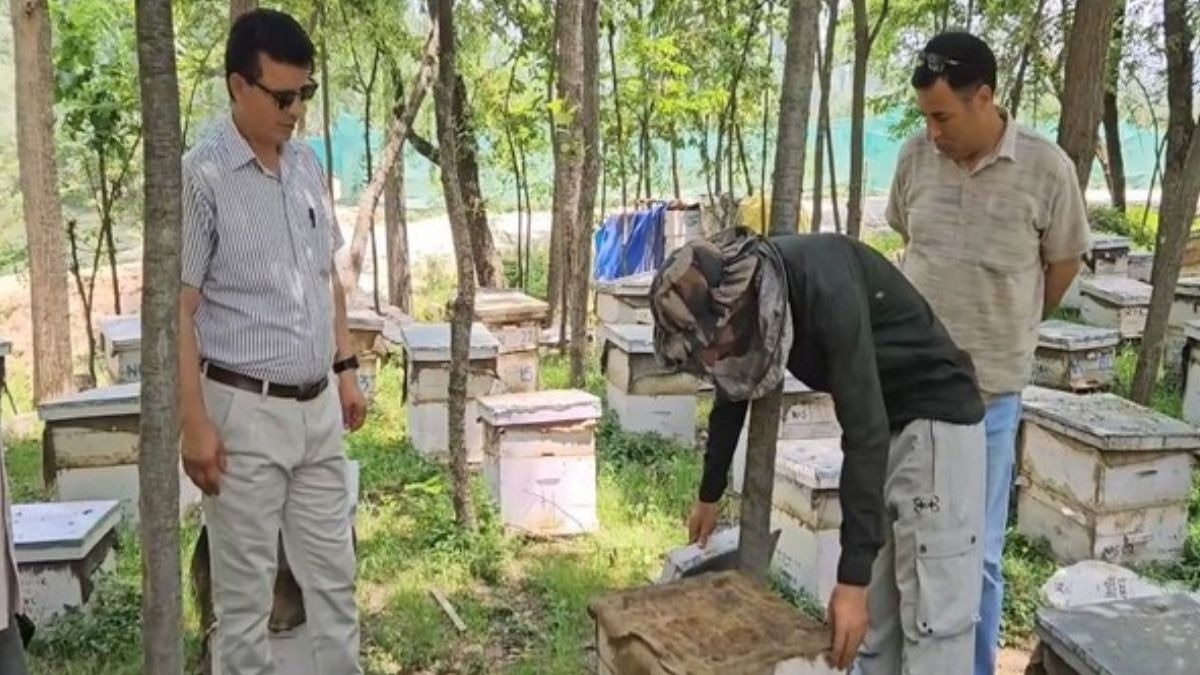 Anantnag Beekeeping